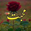 Urdu_shairy786