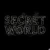 secret.world28