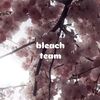 bleach.team52