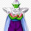 piccolo7589