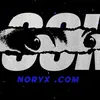noryx.com