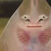 34689.1
