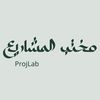 projlab1