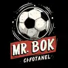 mr.bok.sports.chan