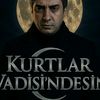 kurtlarvadisindes