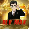 blv.max.story