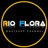 rio.flora7