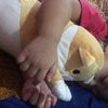 hayysistt