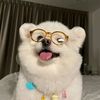 ni_______gth