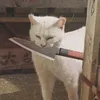 depressocoolio