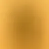 tribu_des_cinq
