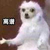 yuning98100