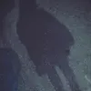 r0a2m