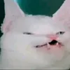 userlfyo5wu0id