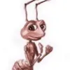majooroman