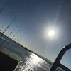 130415794
