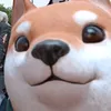 koreyomutoka_himakayo