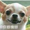 lianhui1