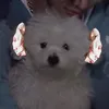 barkie gg