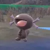 pechipechi1192