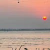 achuchichuchi