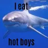 wicked.shark.girl