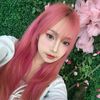 annisa dwimitta
