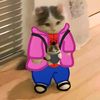chipsjalapeno