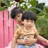 chentaomei0