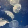 skyxcloudz_