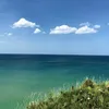 dailuongha