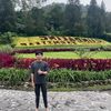 ferryhandoko_