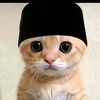 maz_ginn07