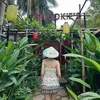 phanthianh98