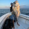 305.frito