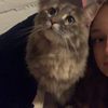 __lexigrace__