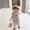 daukid