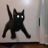 skrtt.z