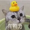 four0302
