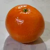 deybidcstr