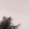 _raihannafi_