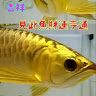 tk123456ing