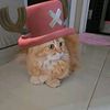 aannot4u