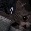 frrrlrfshii