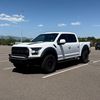 quinn.raptor
