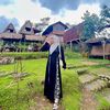 Aichunn_
