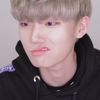 준콩