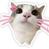 npskploy_