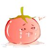 ToMAtO CH