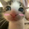 michelleehft